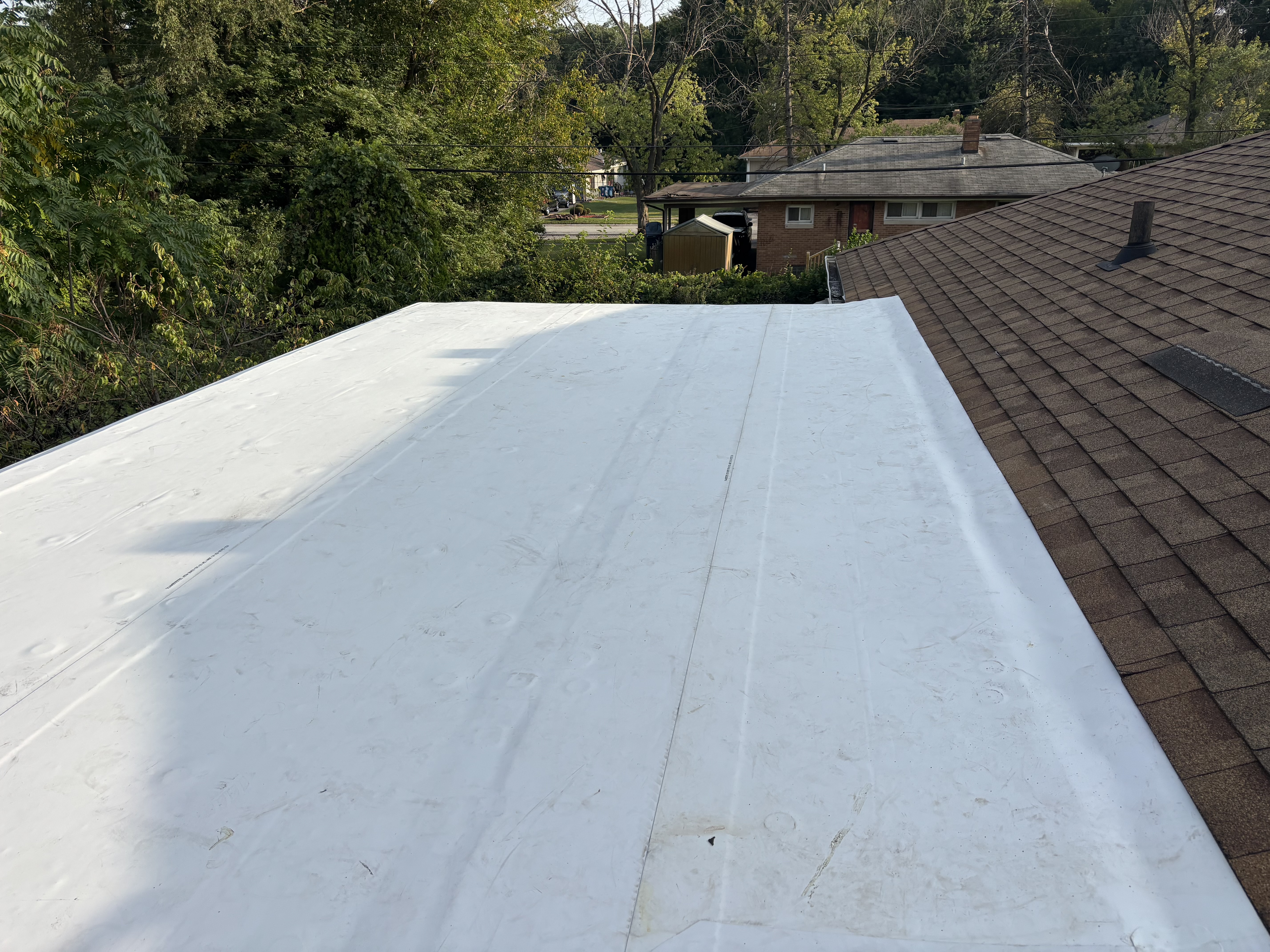 TPO Roof